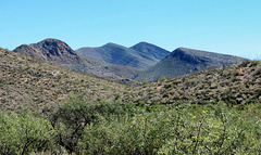 North Of The Mules