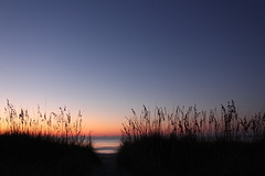 Sunrise, dunes