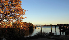 Elbe im Herbst