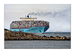 Evelyn Maersk entering Rotterdam harbour.