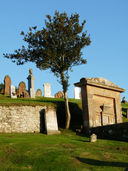 Lone Tree in Kirkcudbright Cemetery