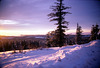 12-sunset_in_blues_tree&snow_ig_adj