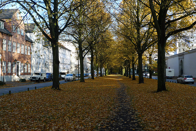 allee-1170387