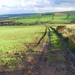 North Yorkshire Moors, England