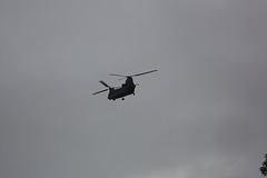 Look - a Chinook!