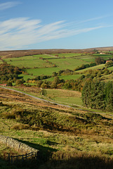 North Yorkshire Moors.