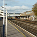 Eastleigh Station (1) - 24 October 2013