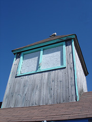 Pier Shades window and pigeon / Pigeon observateur en hauteur.