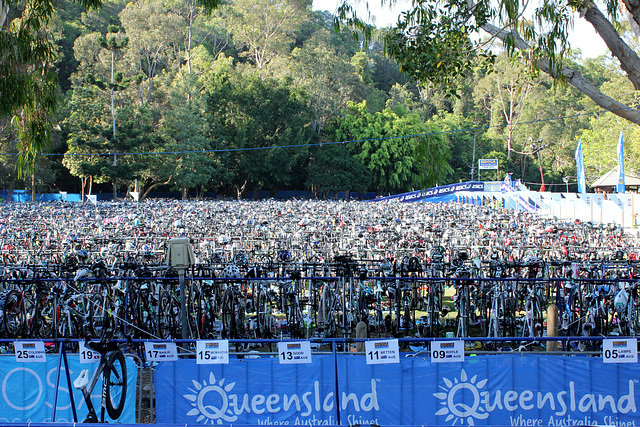 Sea of Bicycles