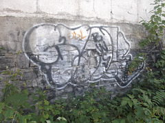 Foliage tag / Feuillage & graffitis.