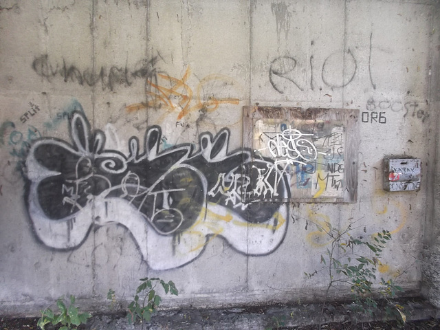 Rio Tag / Graffiti al Rio.