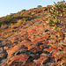 Sunrise rocks, Scrubby Peak