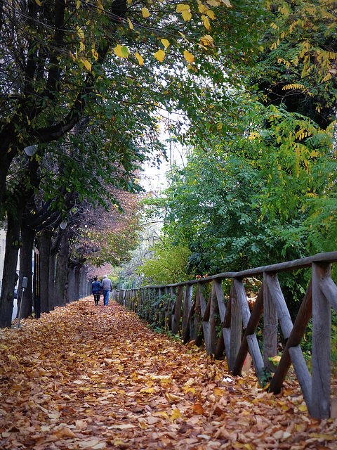 autunno a Mondovì