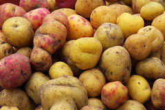 Indigenous potatoes