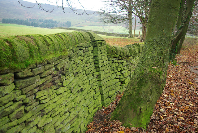 The leaning wall of Moorfield