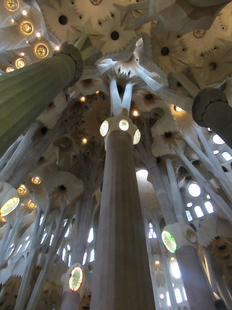 Gaudi wanted to incorporate themes from nature in his construction and these pillars are supposed to be representative of various types of palm tree trunks.