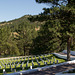 Hot Springs (SD) National Cemetery (0593)