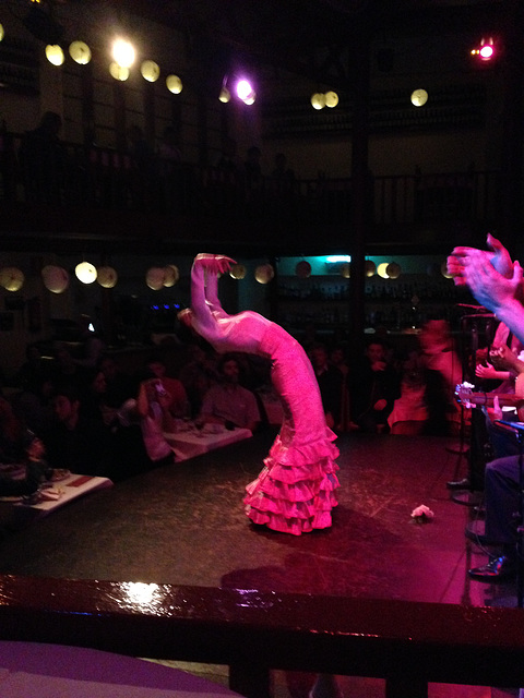 The flamenco show at the Tablao de Carmen.