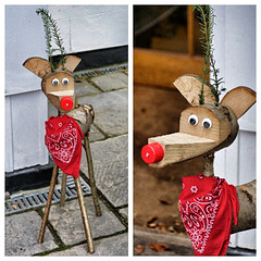 Rudolph the Red-Nosed............log?