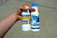 Dubai 2012 – Camel milk and cow milk