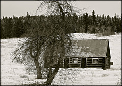 Old Bunkhouse, Lac La Hache, BC