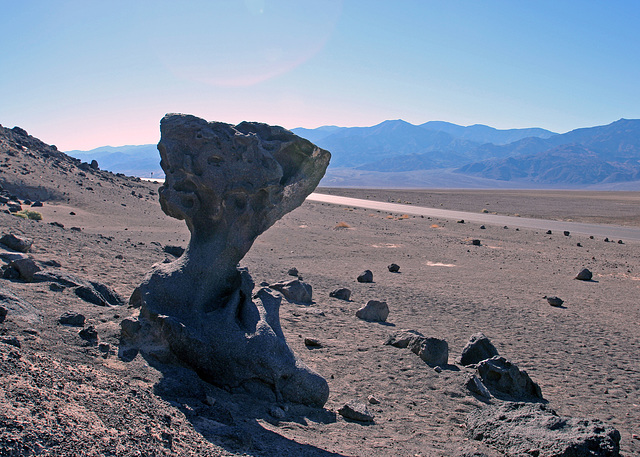 Mushroom Rock (3486)