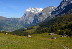 L'Oberland bernois