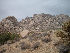 mohave 35