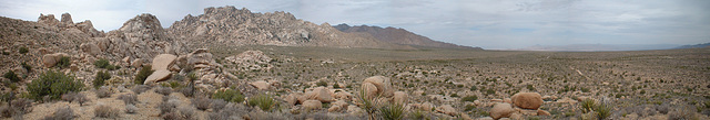 mohave 36