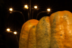 Bokeh Thursday: A Pumpkin Staring up at Candle Light