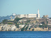 The Bird of Alcatraz - 15 November 2013