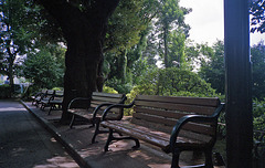 Benches in front of the empty lion cage
