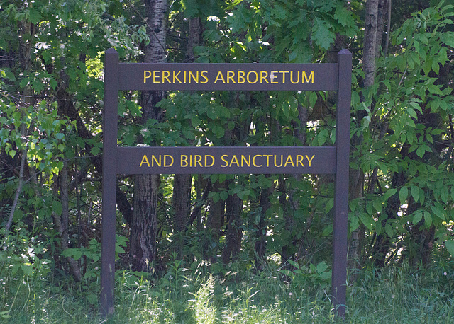 Perkins Arboretum
