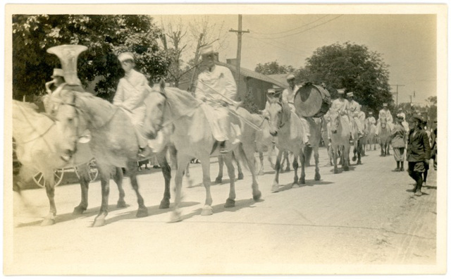 Circus Horses on Parade