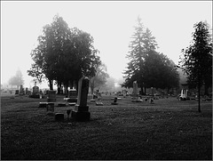 Meadowbrook Cemetery