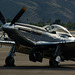 Portrait of a Mustang (3) - 30 November 2013