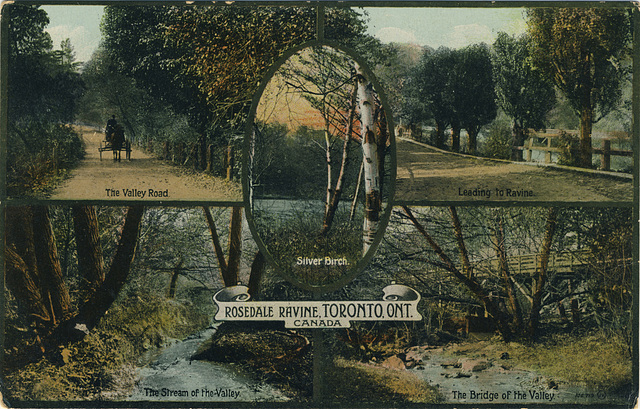 Toronto Ontario Rosedale Ravine C260