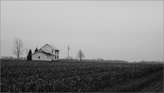 A House in a Field