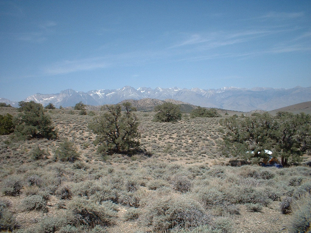 Inyo Mtns 03