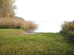 Wünsdorfer See im Hochnebel