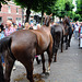 Paardenmarkt Voorschoten 2012 – Horses and people