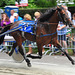 Short-track harness racing – Casual