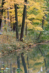 L'automne au Parc de La Tête d'Or (Lyon, Rhône)