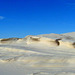 Wind Sculpted Sand Dunes