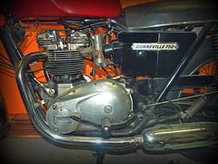 750CC Triumph Bonneville