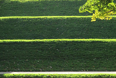 Le Parc de Bercy (en descendant vers le jardin Itzchak Rabin) (Paris 12e, France)