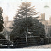 Hardwick House, Bury St Edmunds, Suffolk (Demolished c1921)