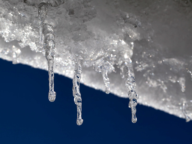 Group of Icicles