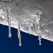 Group of Icicles