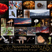 365 Project: November Collage